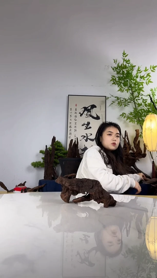 黄**平拍沉木定向链接编号75