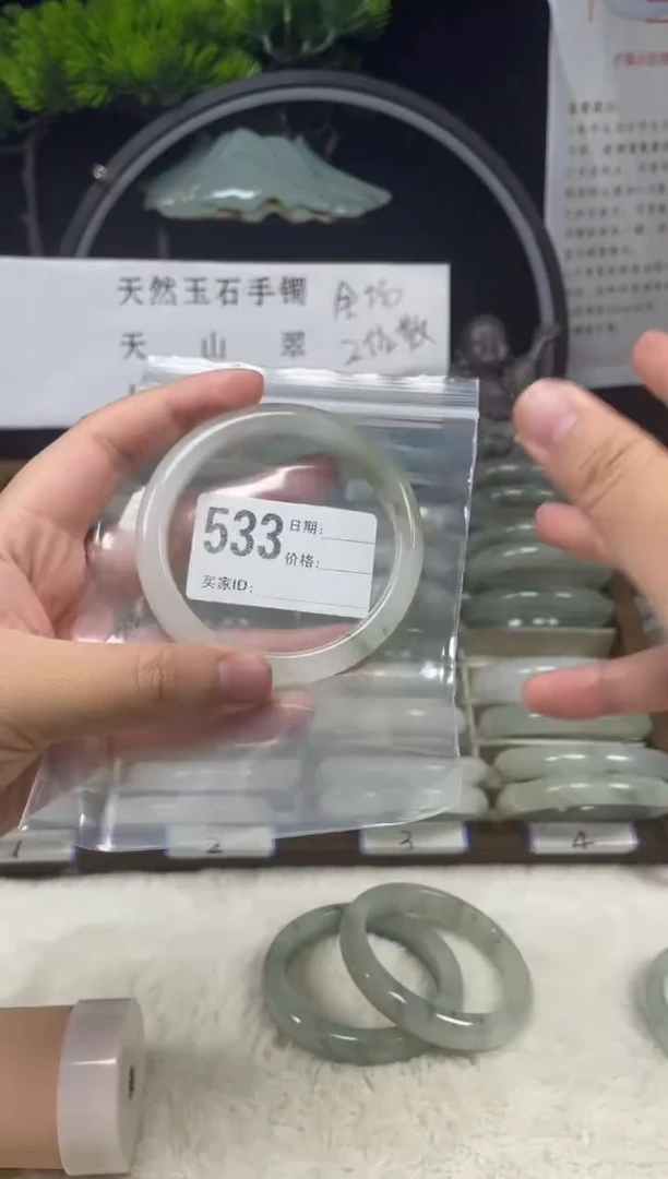 未镶嵌手镯石英质玉（天山翠）533