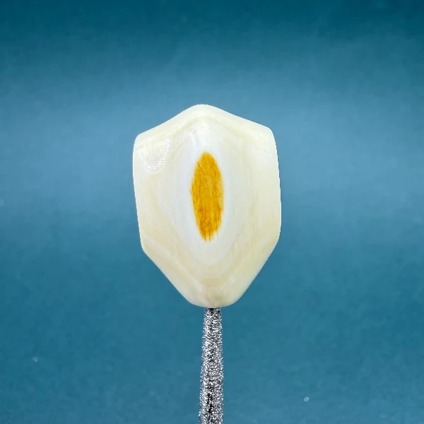 M2072天然猛犸 5A鲨鱼背三通 17*24.9支持鉴定 假一罚四