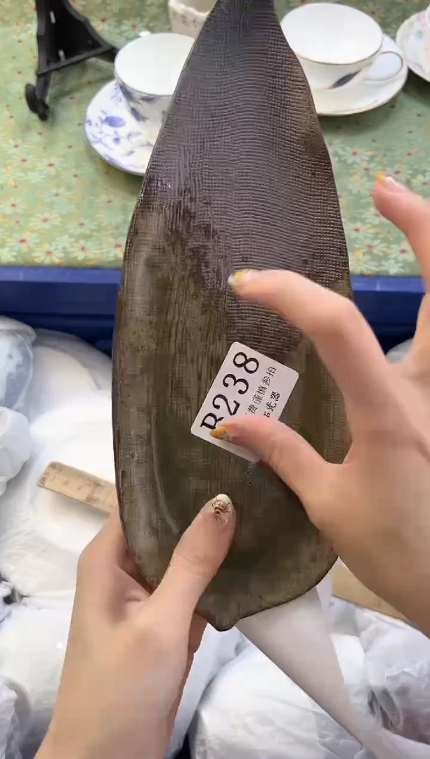 【闪购商品】瓷片          B238