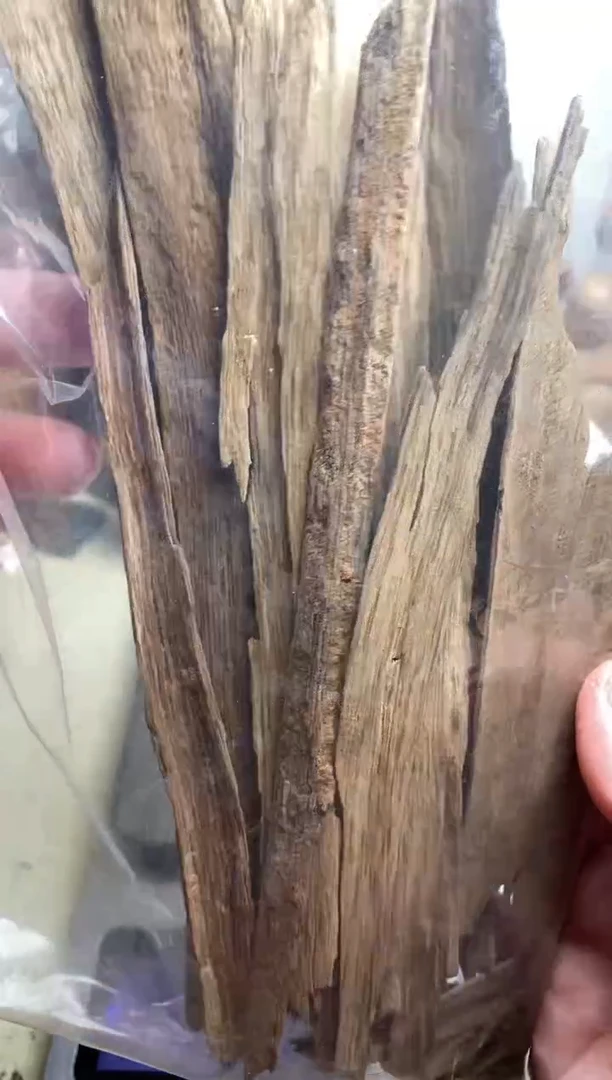 【闪购商品】沉香摆件老挝沉香土沉料35克