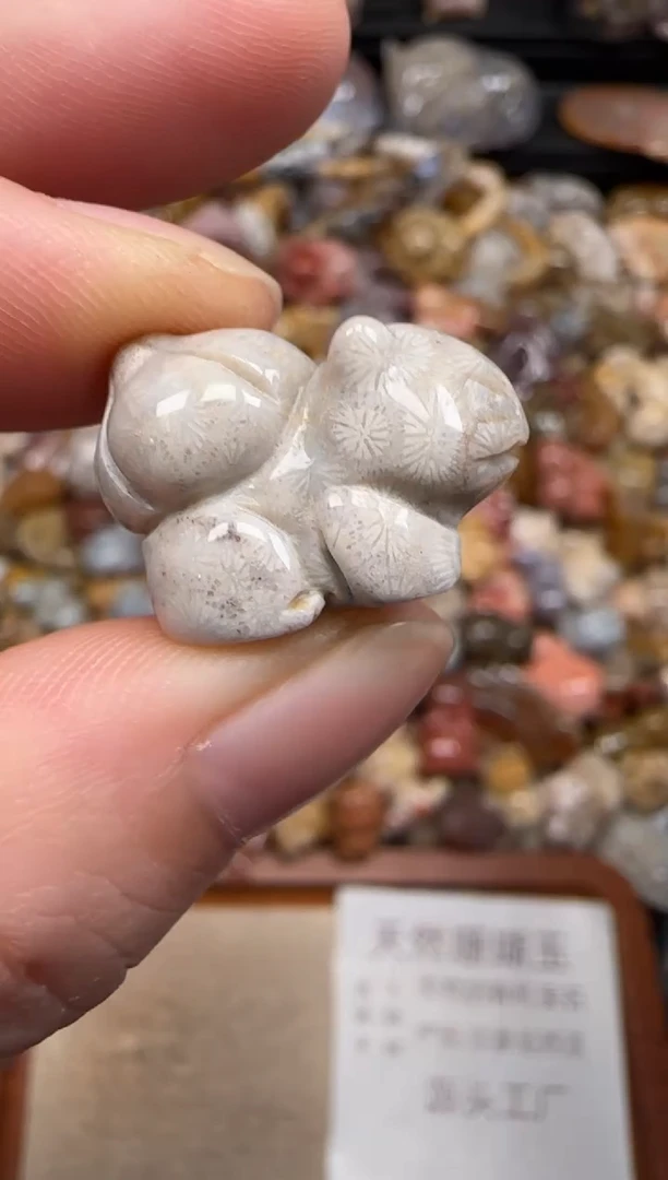 硅化珊瑚（珊瑚玉）未镶嵌颈饰085