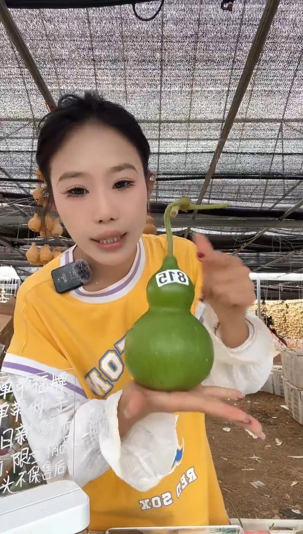 815天然葫芦摆件 一物一拍龙头不保售后
