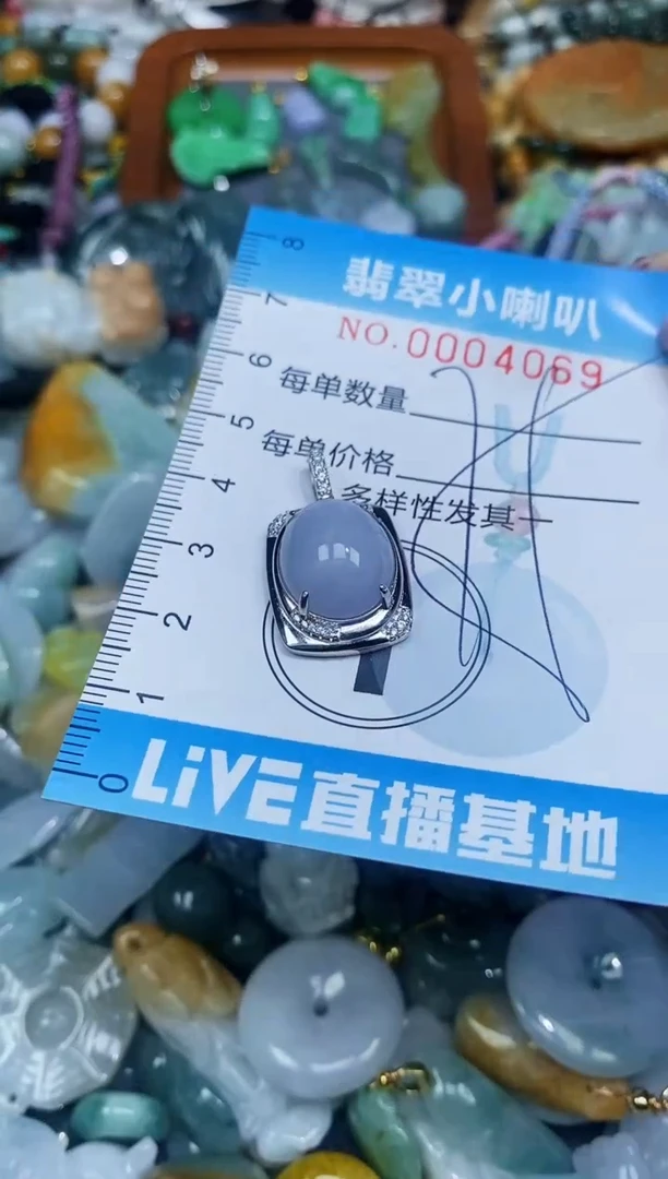 【闪购商品】翡翠颈饰未镶嵌闪购0004069