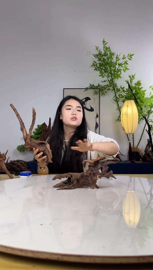 风**随拍沉木定向链接编号46