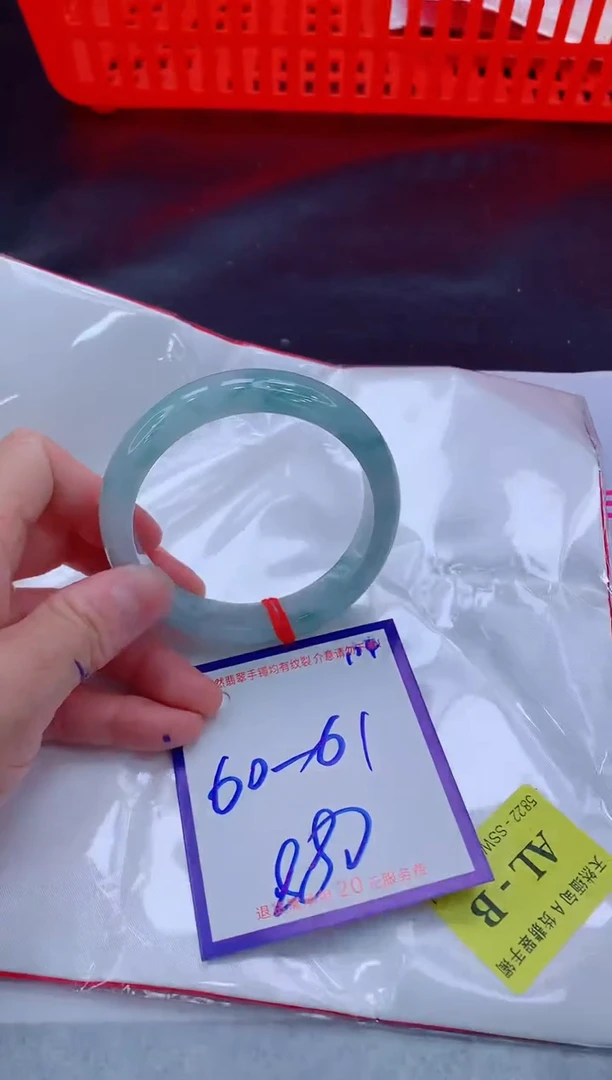 未镶嵌手镯翡翠11111111