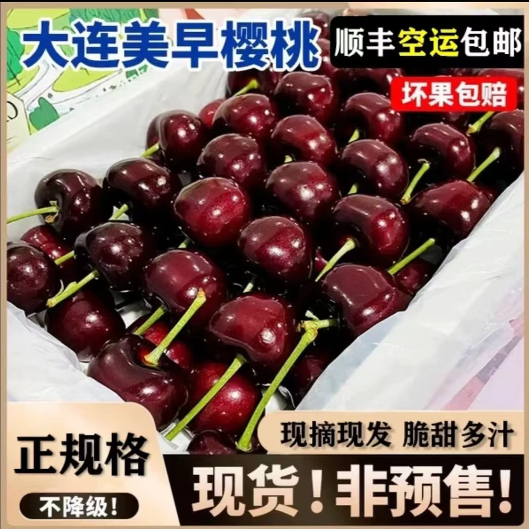 大连美早樱桃（顺丰空运）礼盒一箱