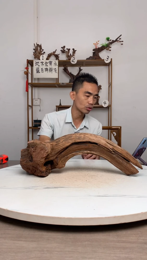 虾***）鱼缸造景沉木摆件