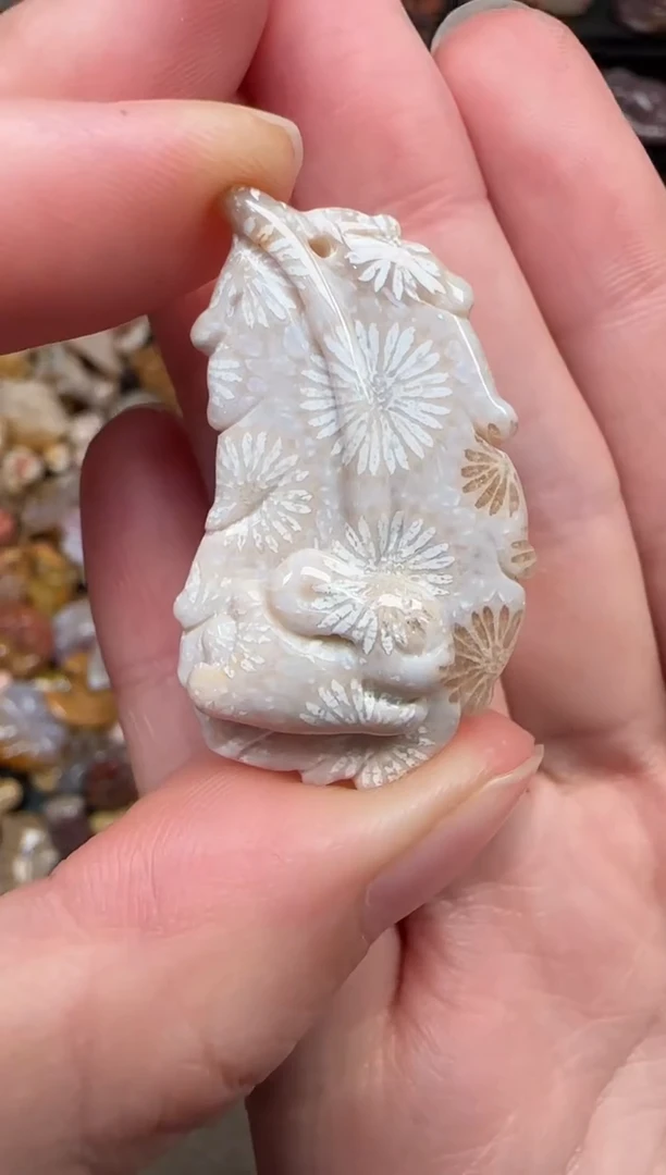 颈饰未镶嵌硅化珊瑚（珊瑚玉）219