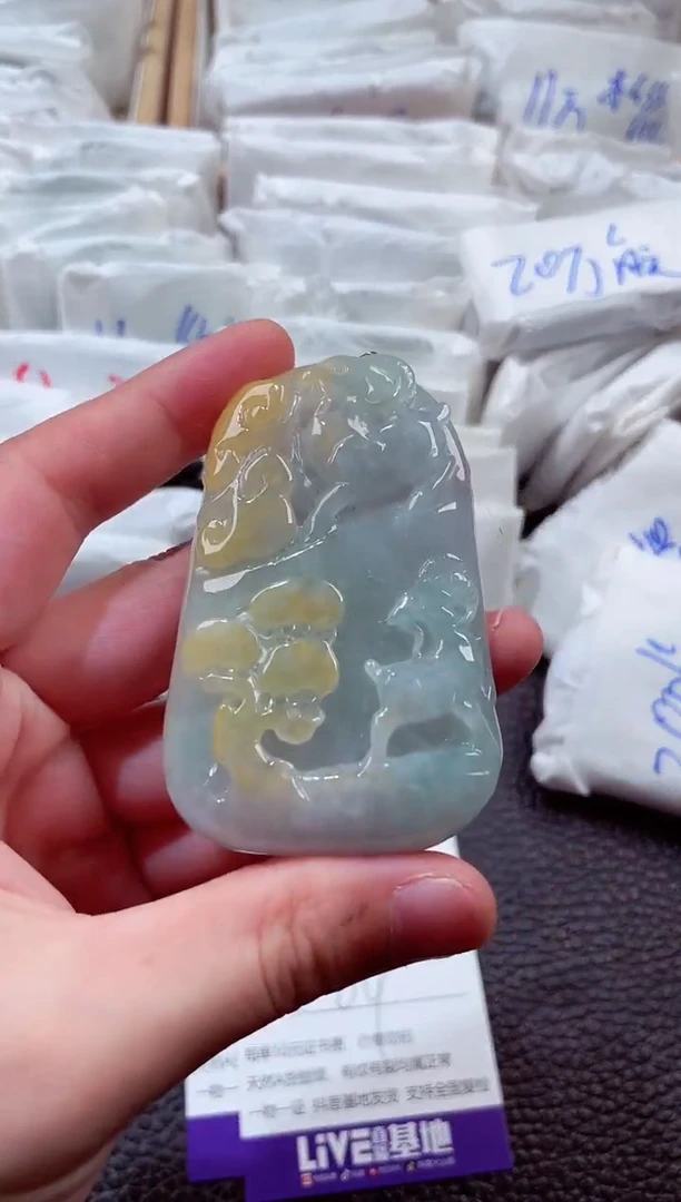 翡翠未镶嵌颈饰00001002