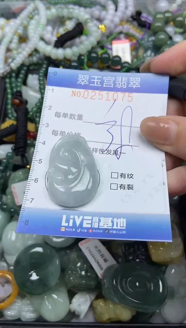 颈饰未镶嵌翡翠闪购C0251075