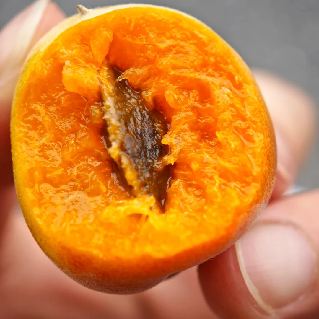 新疆吊干杏中果250g