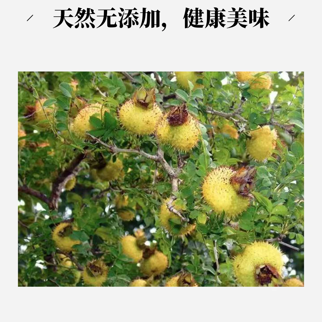 野生刺梨新鲜原生态健康当季水果维C之王可榨汁泡酒