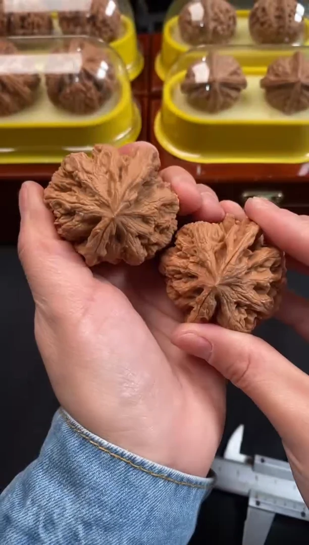 把件文玩核桃大粗筋46尺R905