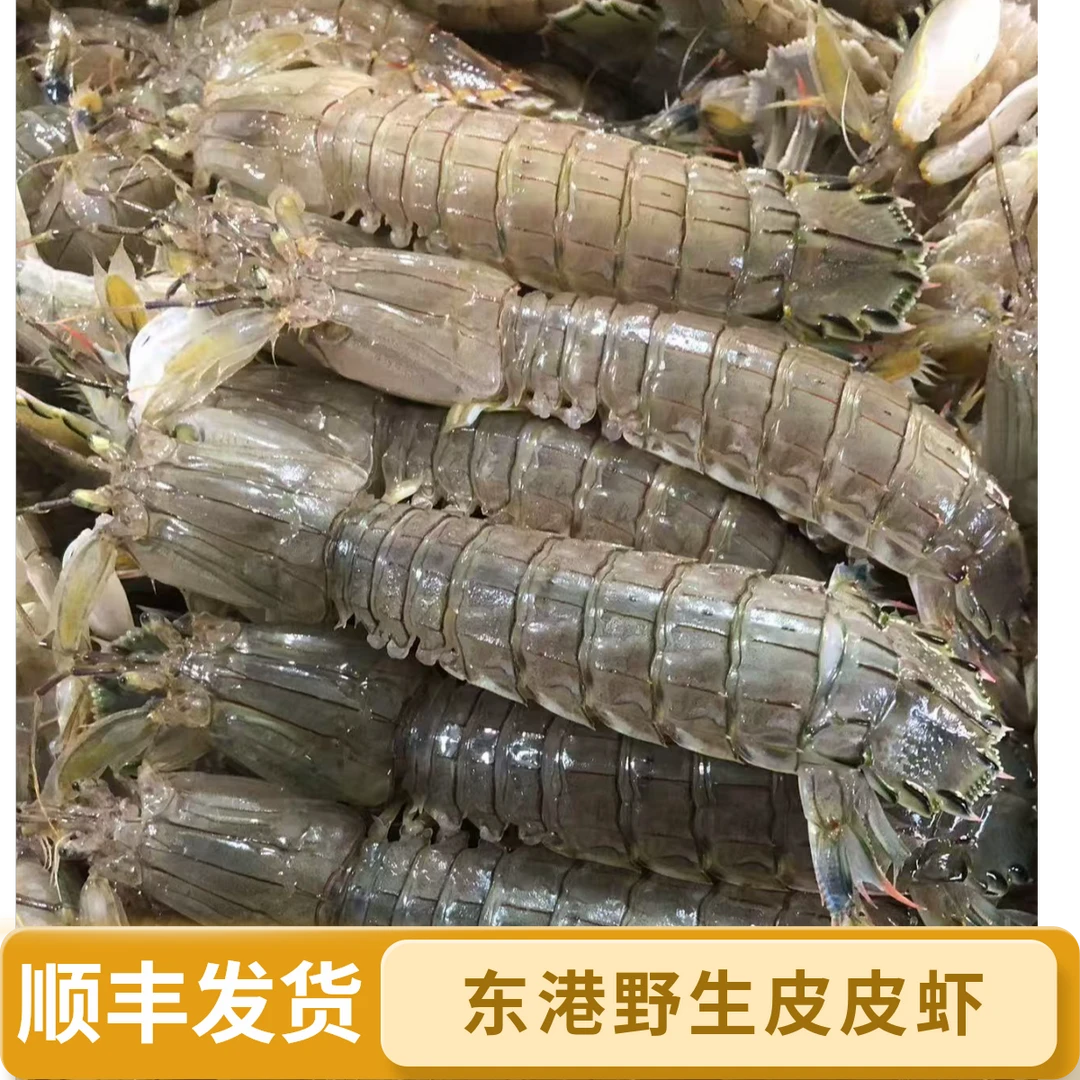 晟 断痒活死东港本地虾爬 三斤装