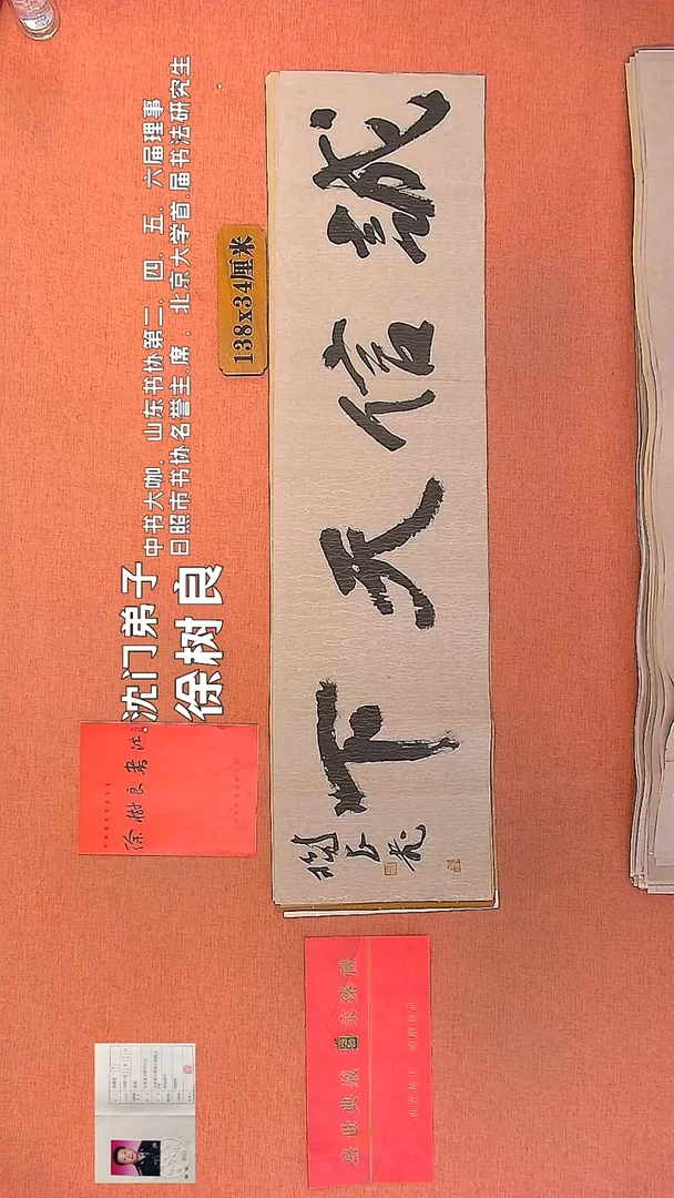 【闪购商品】书法156     徐树良书法作品