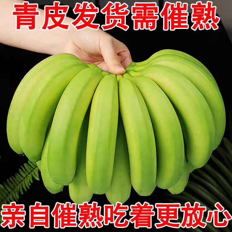 云南高山黄心香蕉