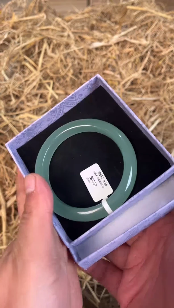 未镶嵌手镯石英质玉D-826