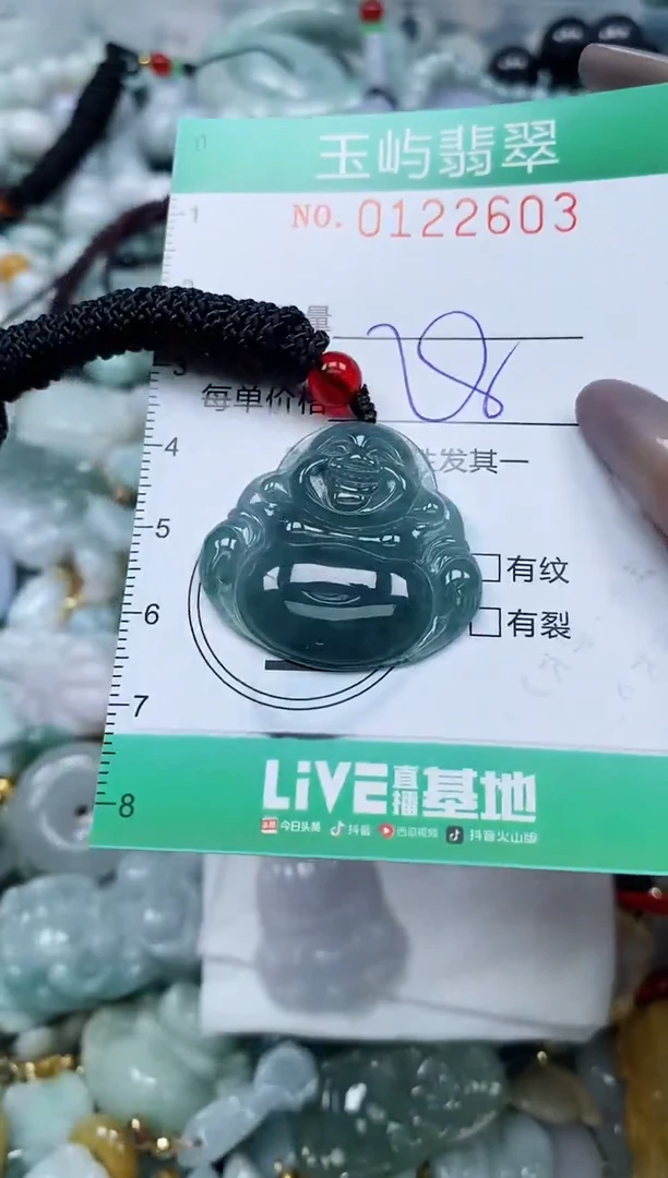 翡翠未镶嵌颈饰闪购0122603