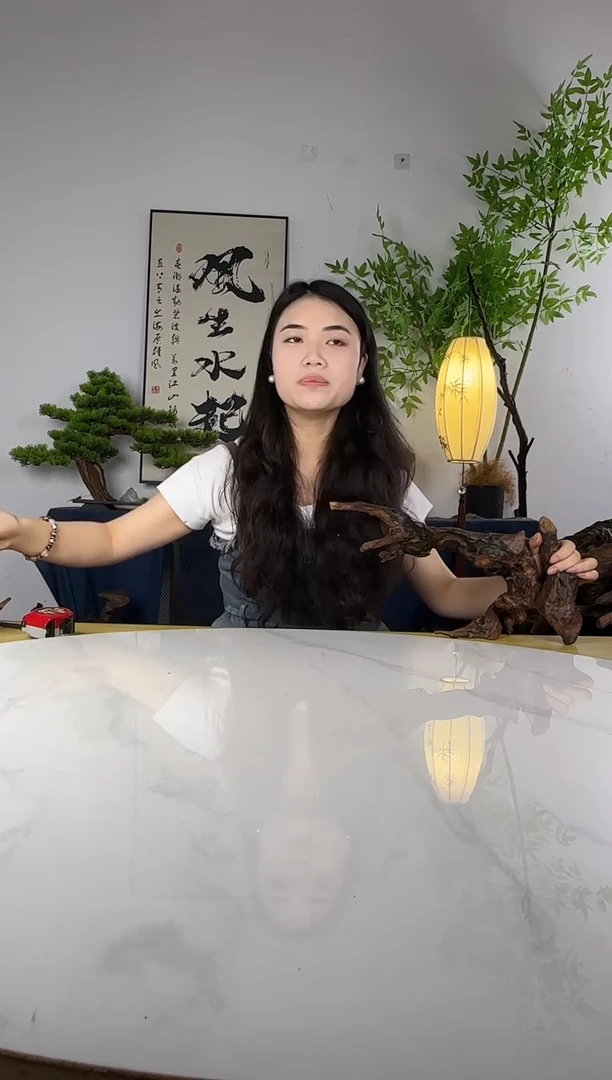尧沉木定向编号5