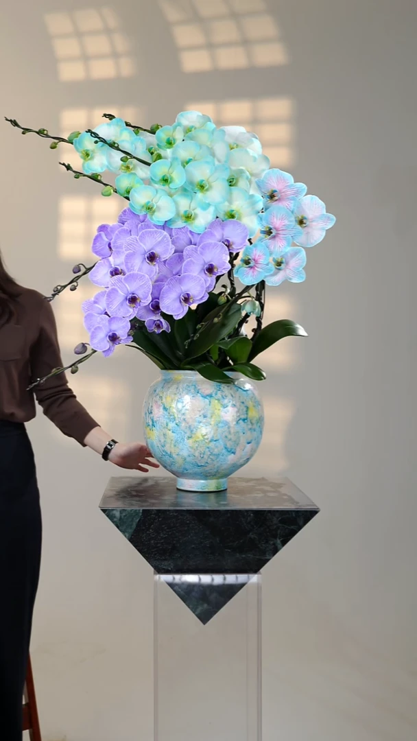 全部花朵020一物一拍蝴蝶兰艺术盆景