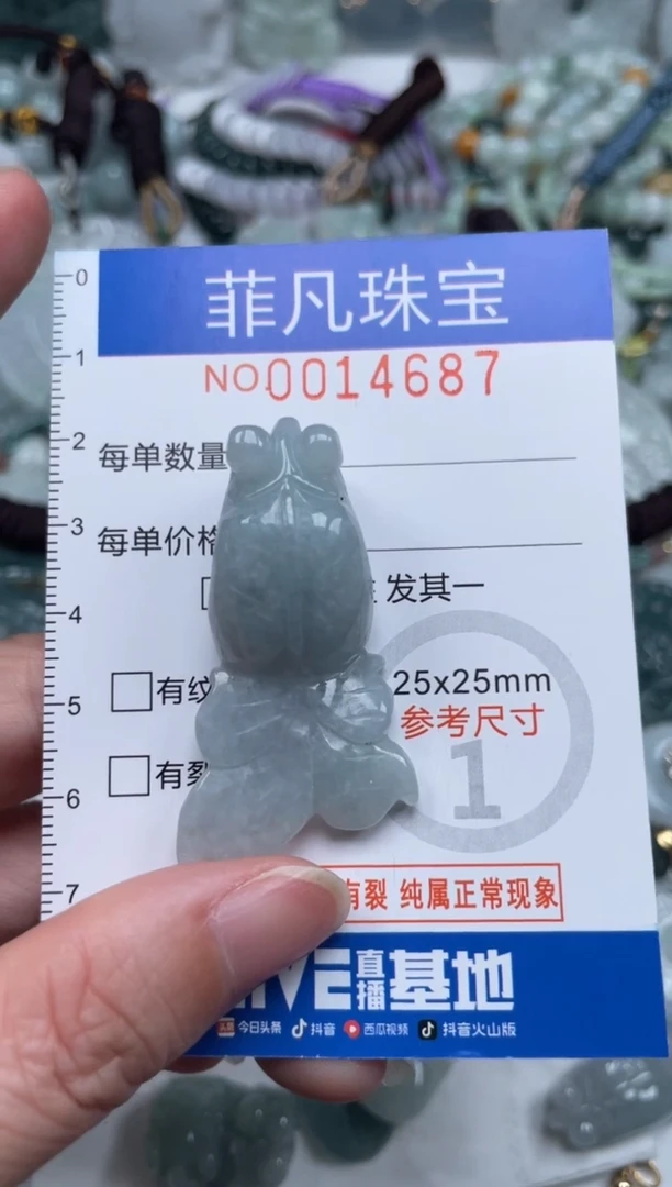 颈饰未镶嵌翡翠14687