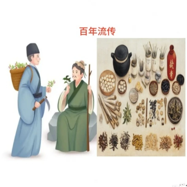 苗家老方花草根茎