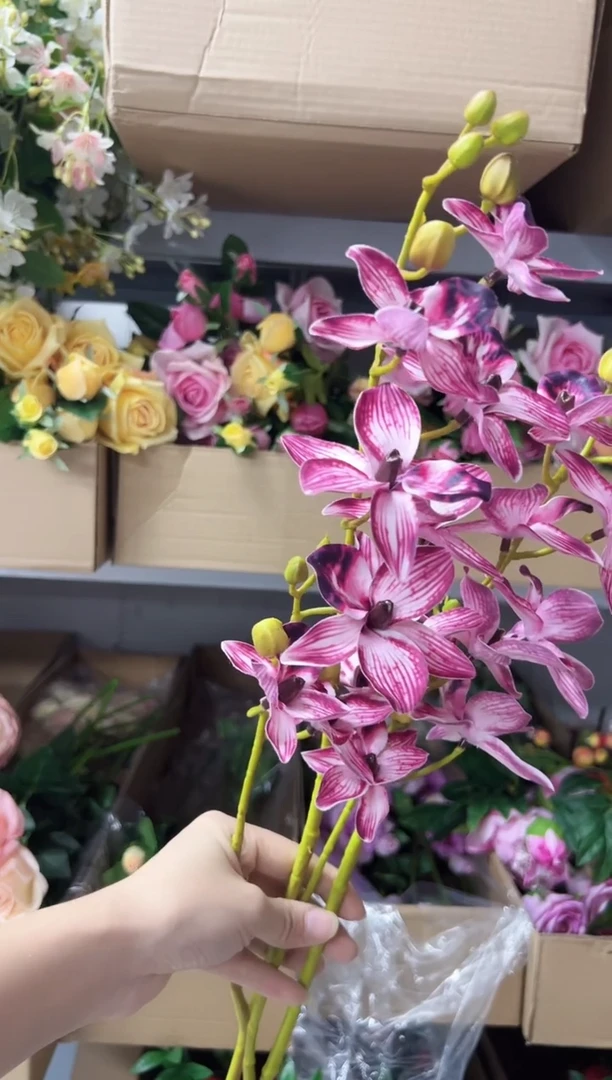 2枝酒红手感千鸟兰