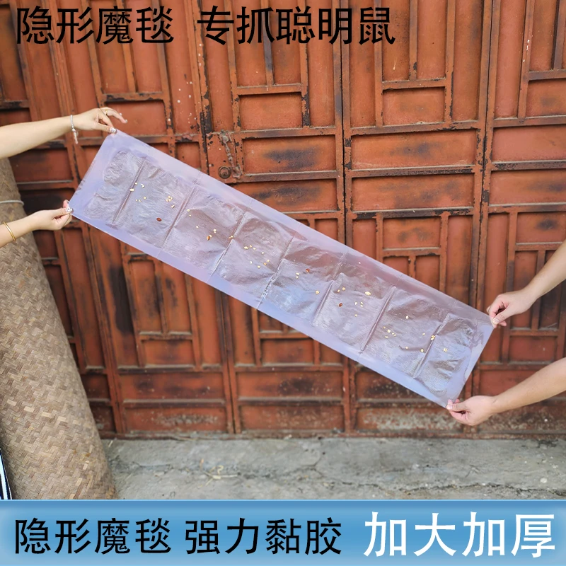 强力粘鼠板抓粘大老鼠贴胶捕鼠老鼠神器克星正品家用大号灭黏沾鼠