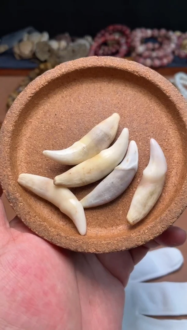 牛骨其他略**略杂件614-全部一起发
