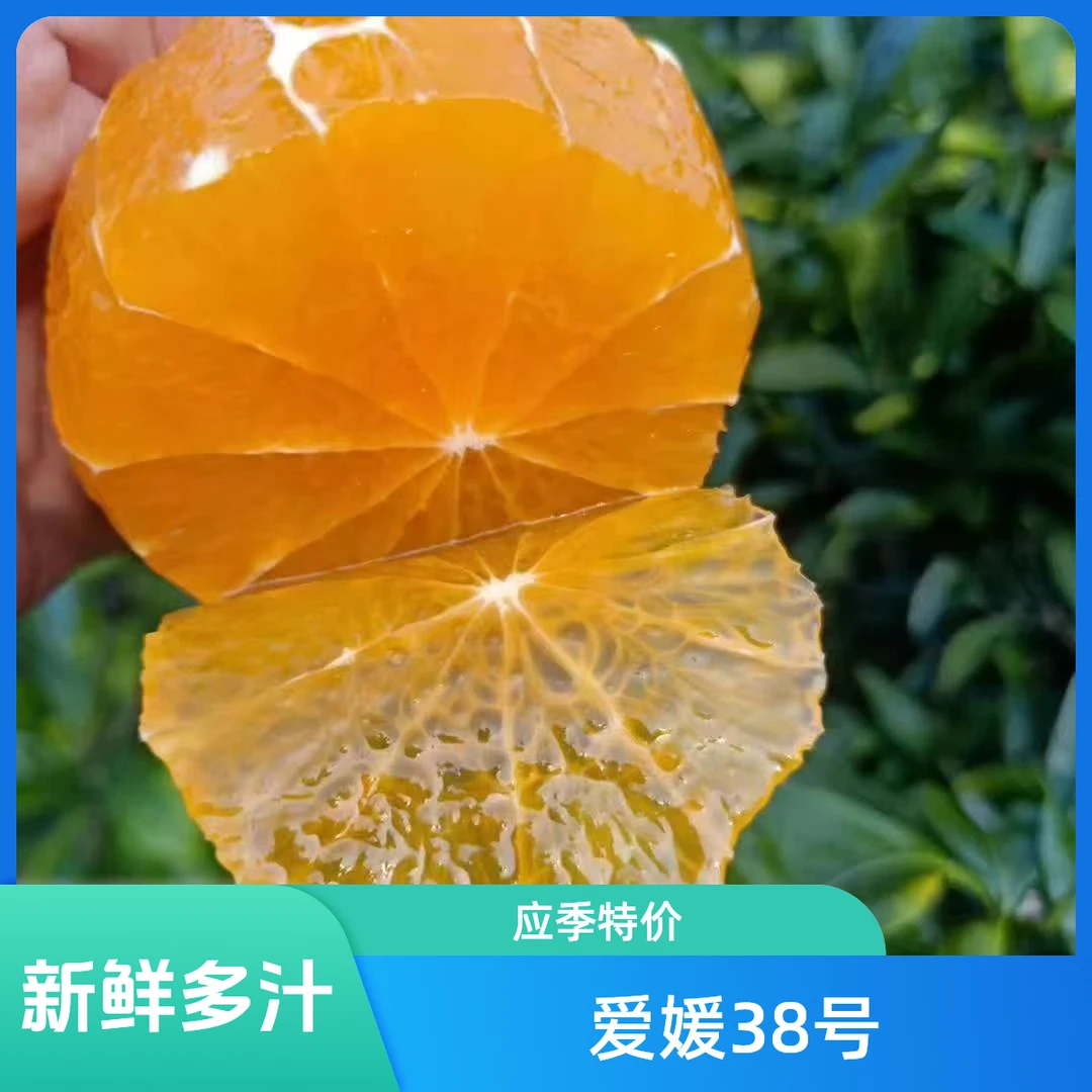 香甜多汁爱媛38号果冻橙四川眉山核心产区新鲜现摘应季水果无籽无渣果王5斤毛重包邮到家四川省