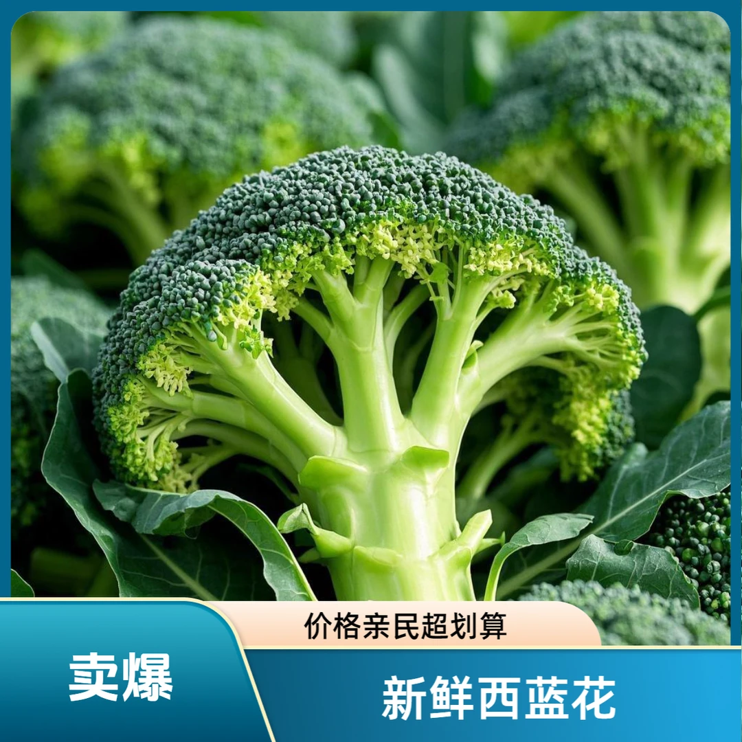 【现砍现发】贵州新鲜脆嫩西蓝花农家自种西蓝花青花菜绿花菜