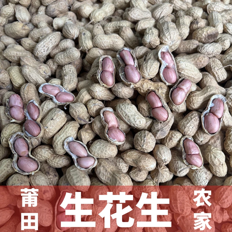 2025年新货生花生日晒花生莆田特产水煮花生5斤包邮