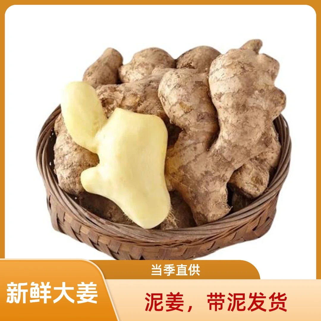 【泥姜，带泥发货】山东大姜当季新鲜大姜5斤装