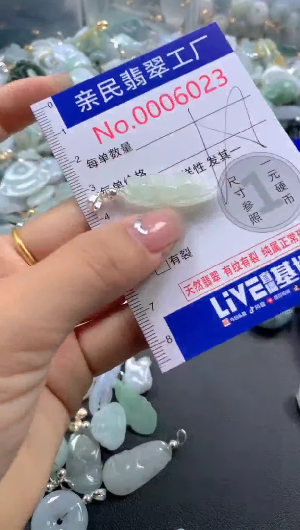 颈饰未镶嵌翡翠6023