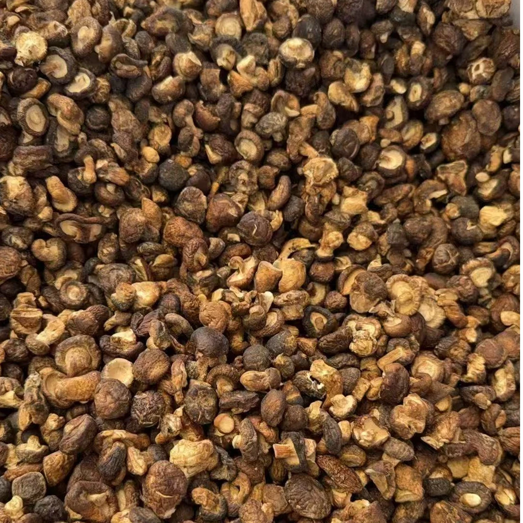 【肖婆专属】云南特产小香菇