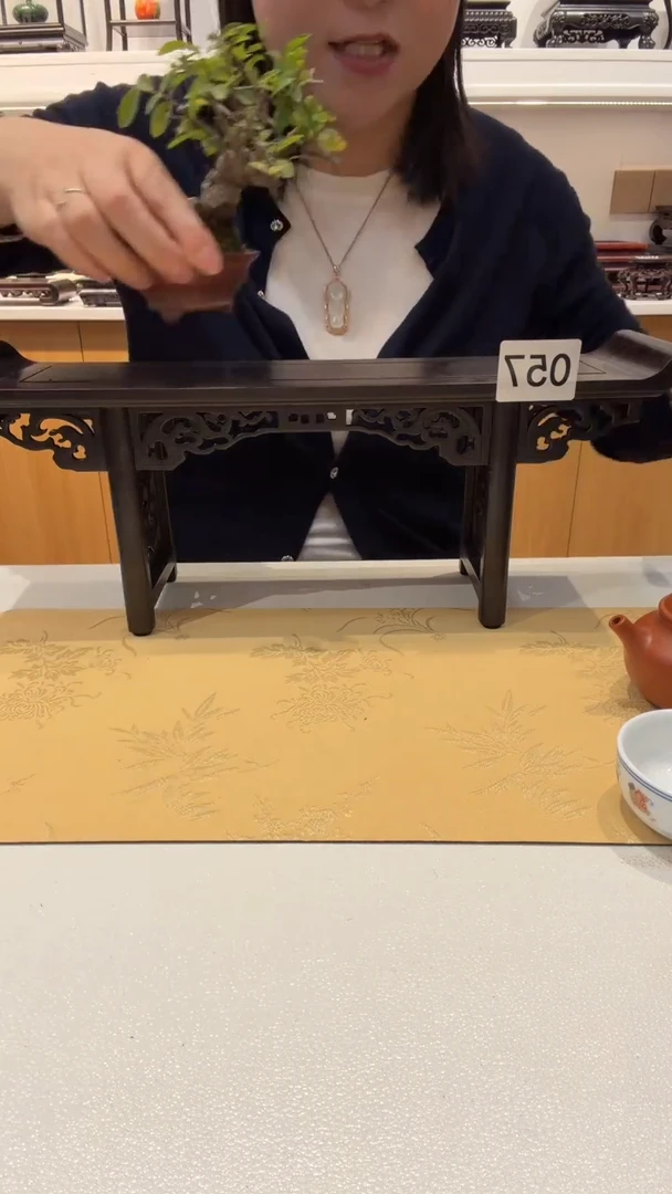 紫砂1紫砂紫砂紫砂紫砂紫砂黑