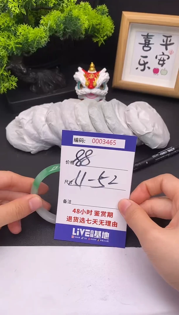 未镶嵌手镯翡翠0003465