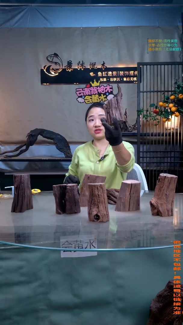 摆件景沐沉木J540景沐沉木J540