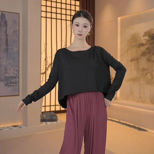 现代舞蹈服女中国古典练功上衣成人专业跳舞专用宽松飘逸罩衫新款