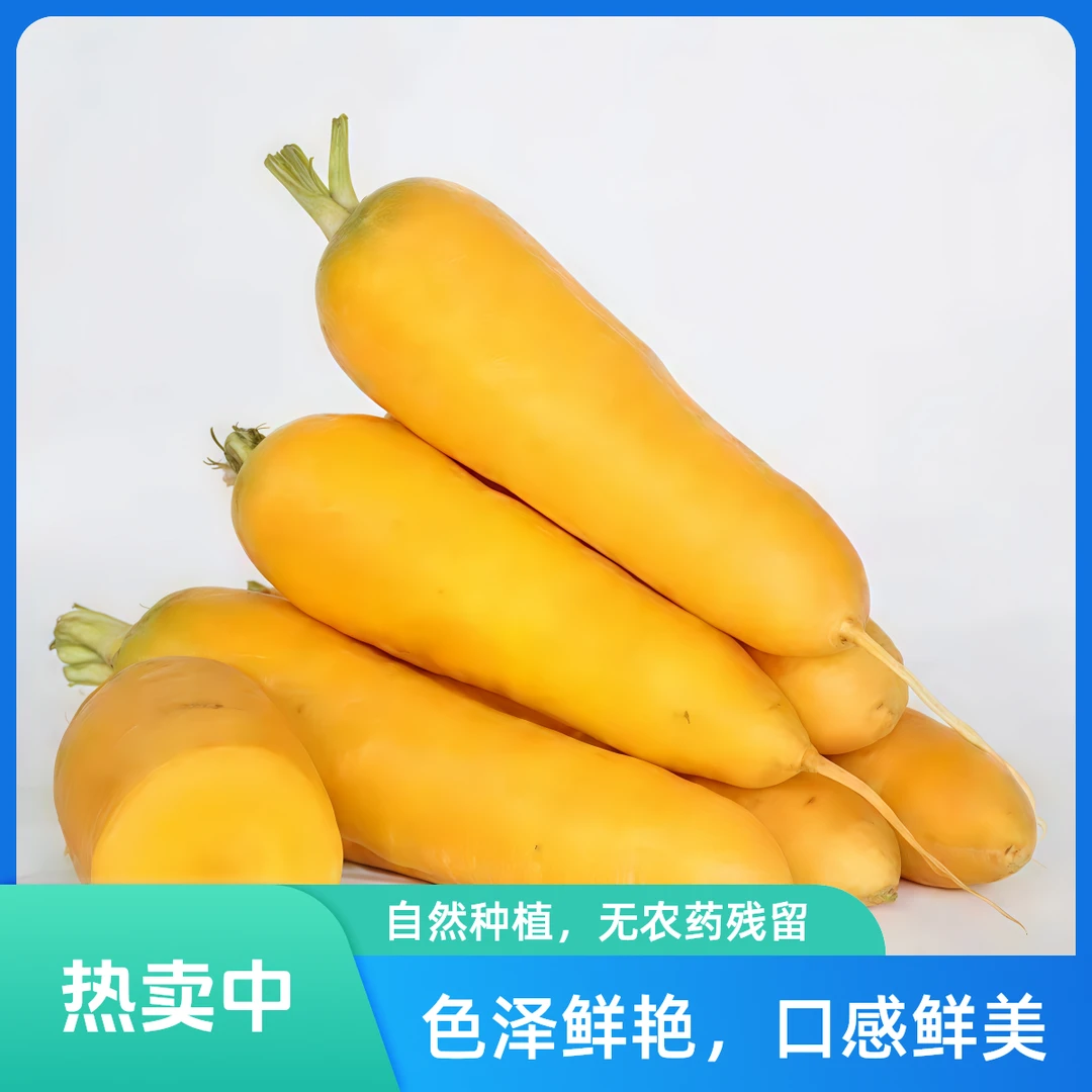 黄胡萝卜蔬菜0.5-0.7斤/份