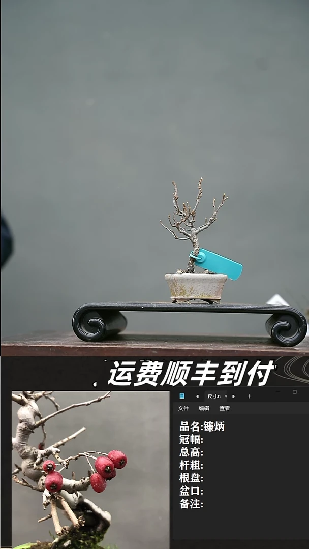 【闪购商品】22  镰炳