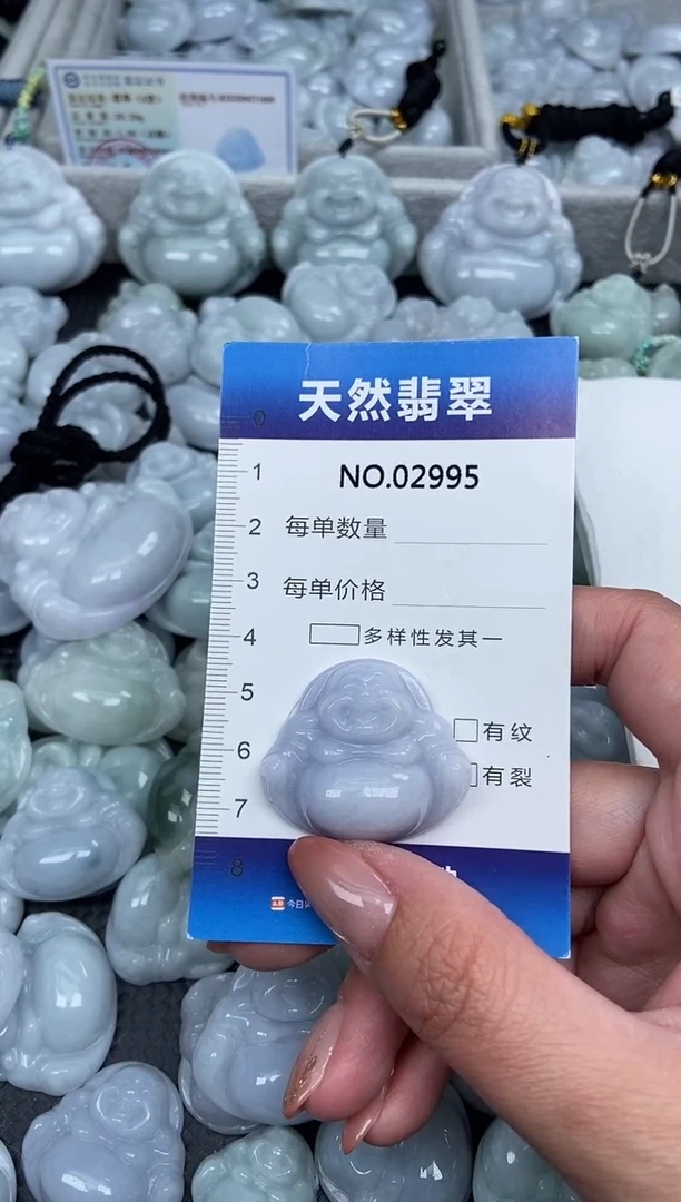 颈饰未镶嵌翡翠纯天然A货缅翡2995