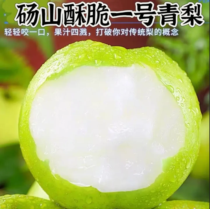 新鲜砀山青梨翠玉梨翠冠梨细腻无渣脆甜爆汁水果