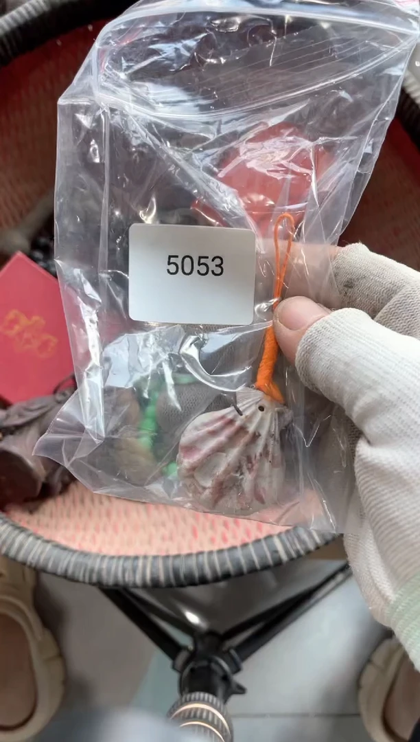 器556677882505285053