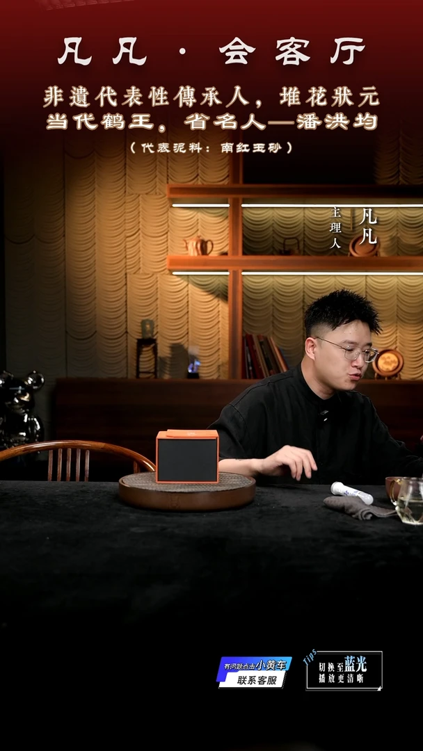 茶壶紫砂凡凡会客厅 紫砂壶04