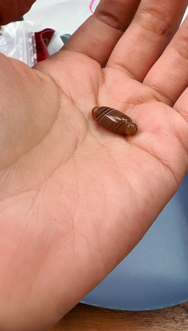 【闪购商品】玛瑙/玉髓颈饰未镶嵌【 肖钟出品 】