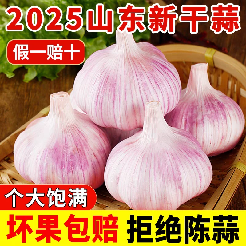 金乡紫皮大蒜2025年新干蒜特大果5斤装5.5cm以上农家自种精品大蒜