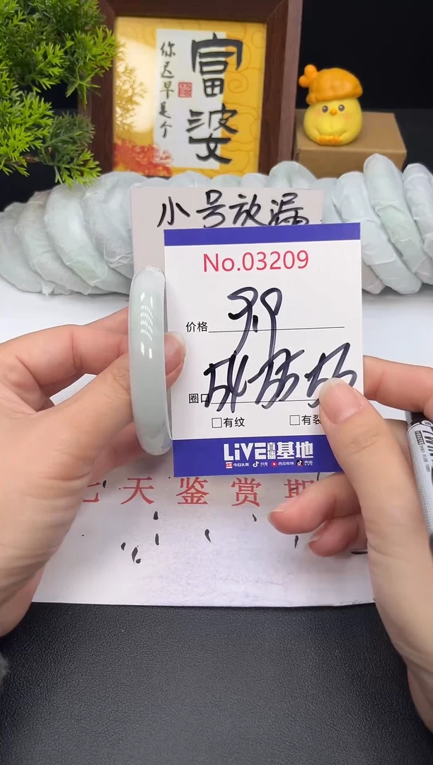 未镶嵌手镯翡翠3209