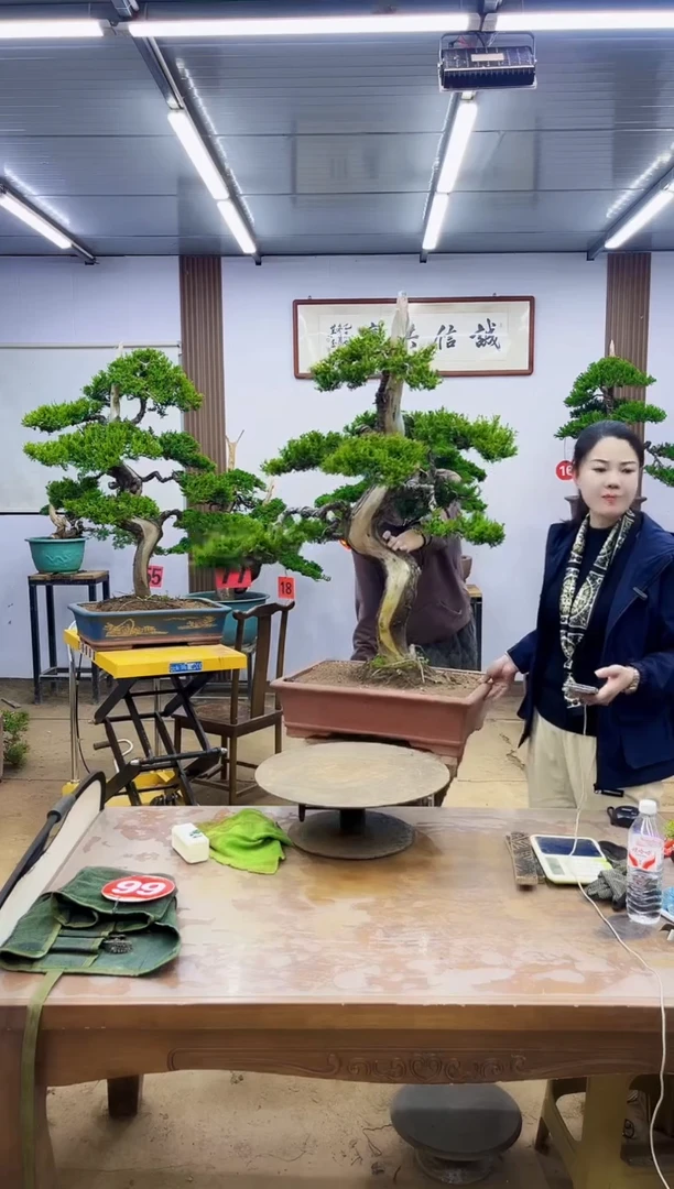 无花朵庄****挡11111111